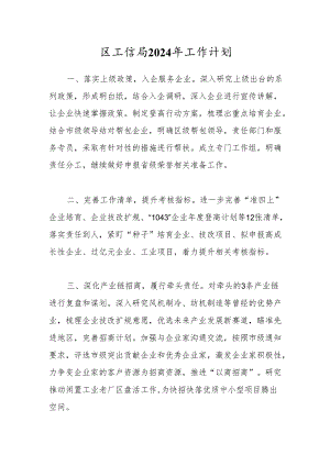 区工信局2024年工作计划.docx