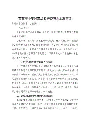 在某市小学段三级教研交流会上发言稿.docx
