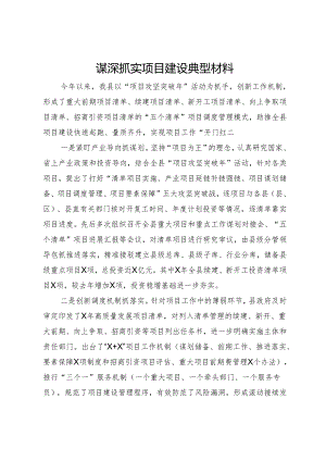谋深抓实项目建设典型材料.docx