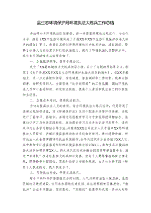 县生态环境保护局环境执法大练兵工作总结.docx