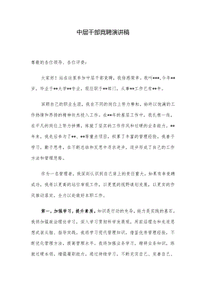 中层干部竞聘演讲稿.docx