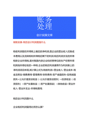 税后会计利润是什么.docx
