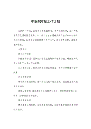 中医院年度工作计划.docx