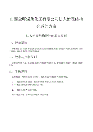 金晖-治理结构咨询报告.docx