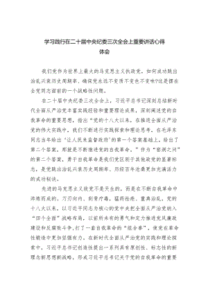 学习践行在二十届中央纪委三次全会上重要讲话心得体会（共五篇）.docx