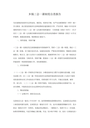 乡镇三会一课制度自查报告.docx