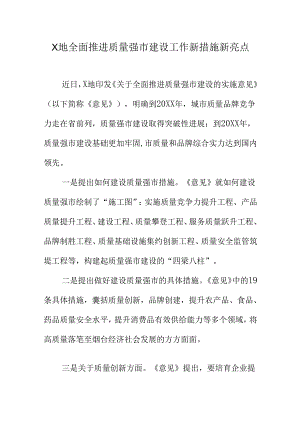 X地全面推进质量强市建设工作新措施新亮点.docx