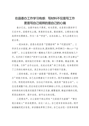 在县委办工作学习有感：写材料不仅是写工作 更是写自己 观照的是自己的心镜.docx