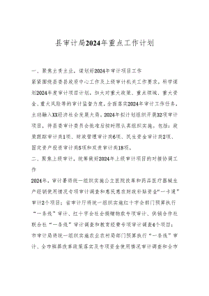 县审计局2024年重点工作计划.docx