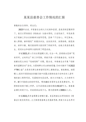 某某县慈善会工作情况的汇报.docx