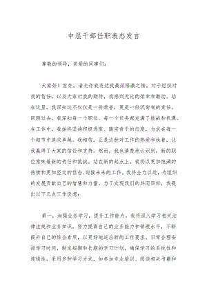 中层干部任职表态发言.docx
