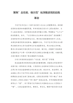 聚焦“走在前、做示范”+纵深推进党的自我革命.docx