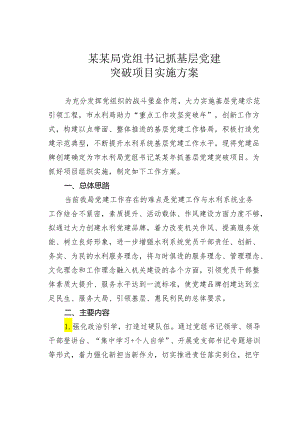 某某局党组书记抓基层党建突破项目实施方案.docx