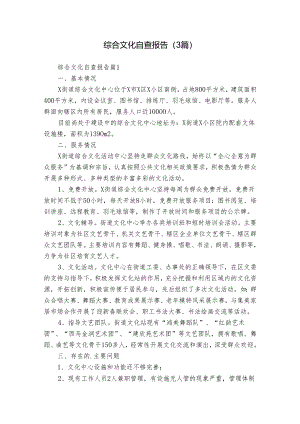 综合文化自查报告（3篇）.docx