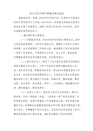 审计系统反馈问题整改情况报告.docx