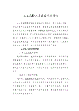 某某高校人才建设情况报告.docx