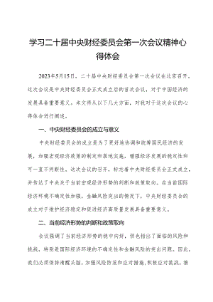 学习二十届中央财经委员会第一次会议精神心得体会.docx