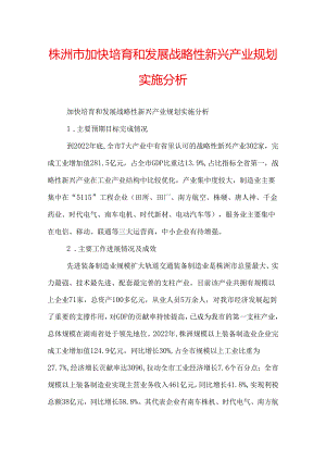 株洲市加快培育和发展战略性新兴产业规划实施分析.docx