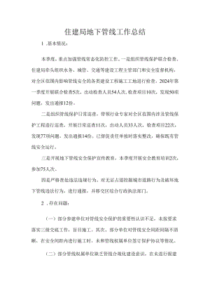 住建局地下管线工作总结.docx