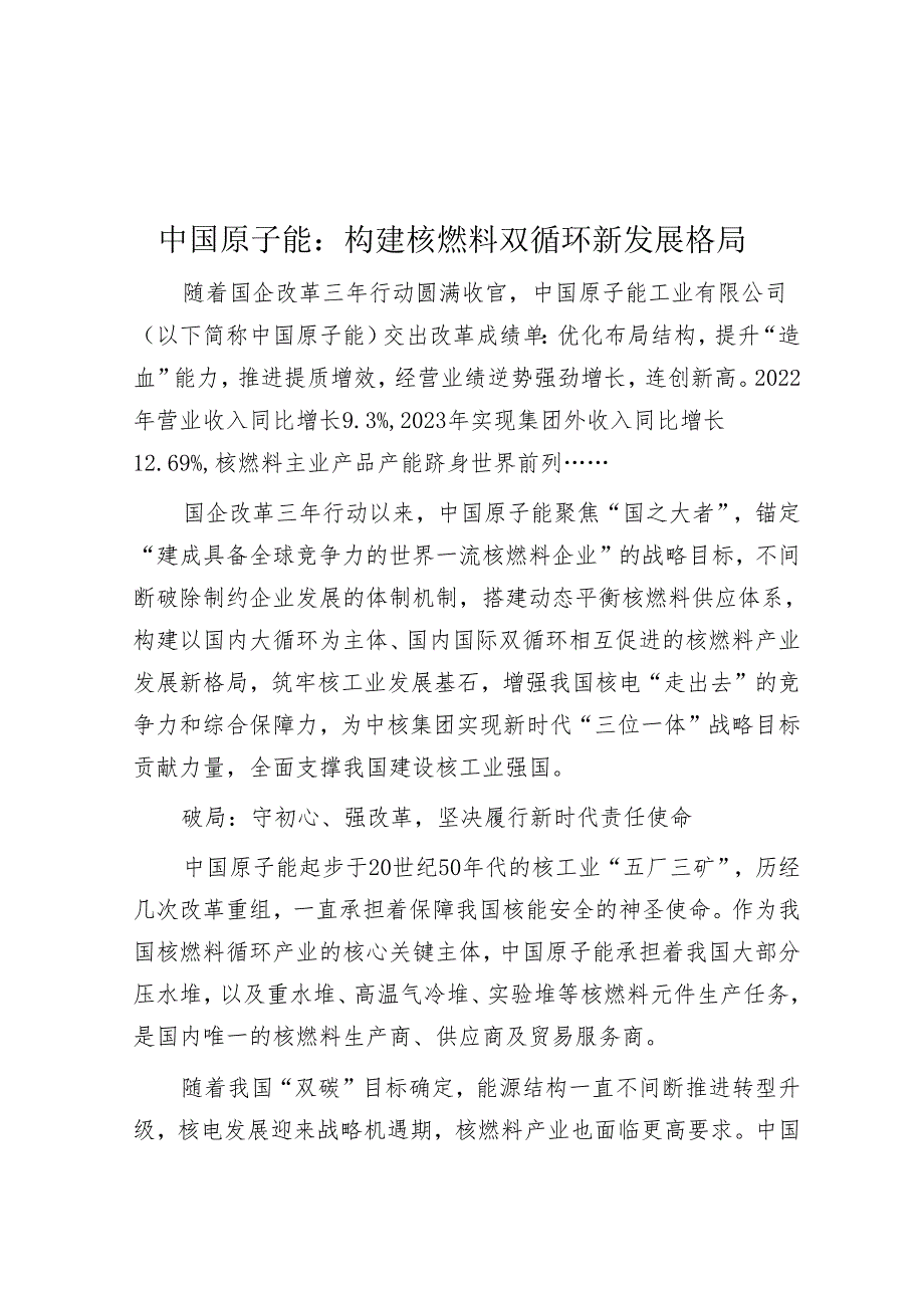 中国原子能：构建核燃料双循环新发展格局.docx_第1页
