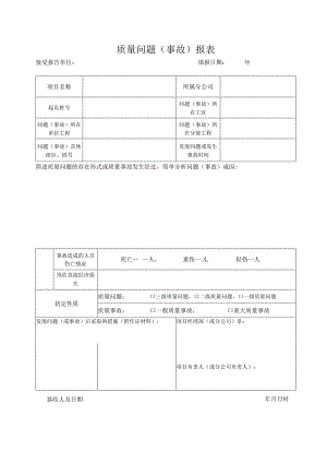 质量问题（事故）报表.docx