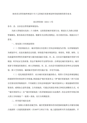 海南省自然资源和规划厅关于支持城市更新规划和用地保障的指导意见.docx