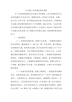 片区重大项目建设情况调研.docx