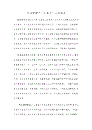 学习贯彻“三个善于”心得体会.docx