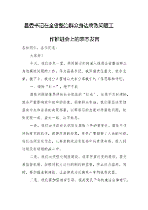 县委书记在全省整治群众身边腐败问题工作推进会上的表态发言.docx