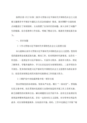 市局副职主题教育专题民主生活会个人对照检查材料.docx