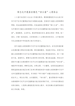 常态化开展落实情况“回头看”心得体会.docx