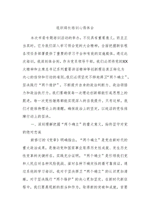 组织部长培训心得体会.docx