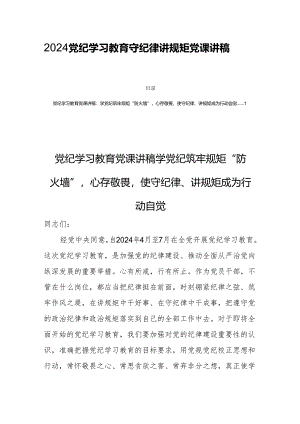 2024党纪学习教育守纪律讲规矩党课讲稿四篇.docx