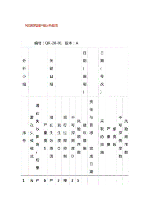 风险和机遇评估分析表模板.docx