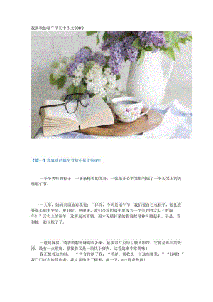 新我喜欢的端午节初中作文900字.docx