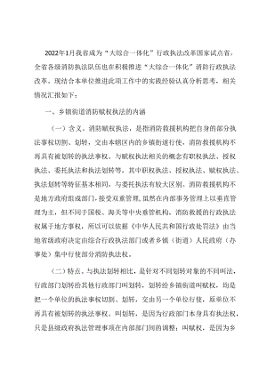 关于推动消防行政执法“镇街赋权”落地见效的调研报告.docx