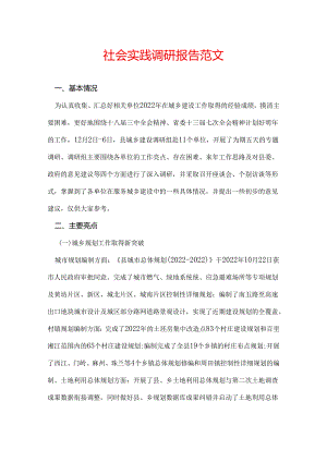 社会实践调研报告范文.docx