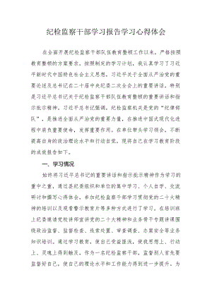 纪检监察干部学习报告学习心得体会.docx