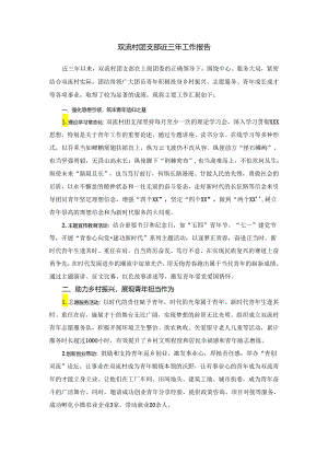 双流村团支部近三年工作报告.docx