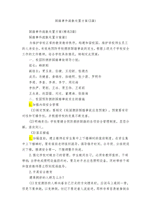 踩踏事件疏散处置方案（3篇）.docx