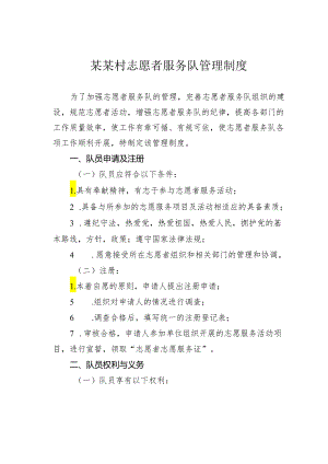 某某村志愿者服务队管理制度.docx