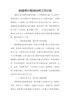 XX县审计局2024年工作计划.docx