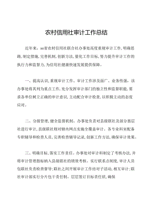 农村信用社审计工作总结.docx
