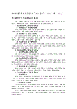 公司纪检小组监督做法交流：围绕“三心”聚“三力” 推动物资管理监督落地生效.docx