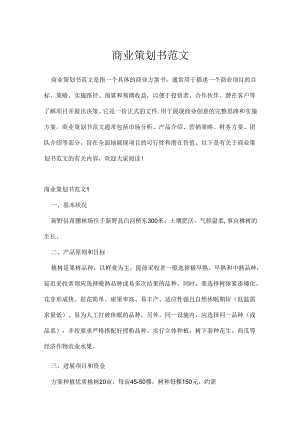 商业策划书范文.docx