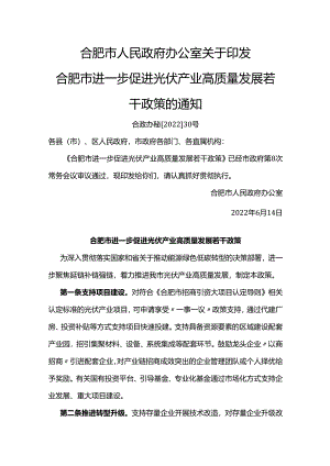 【政策】合肥市进一步促进光伏产业高质量发展若干政策.docx