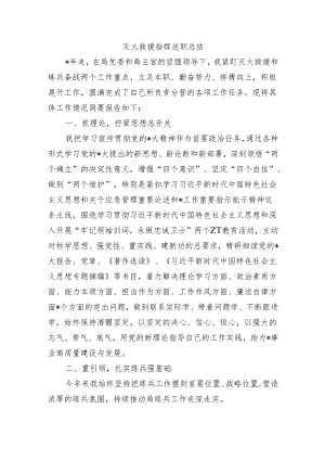 灭火救援指挥述职总结.docx