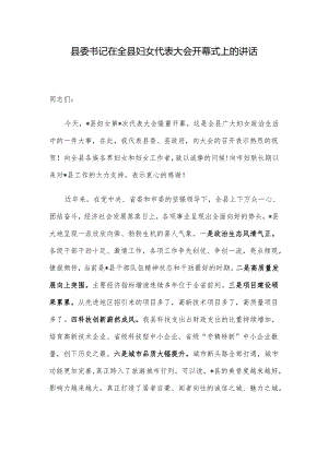 县委书记在全县妇女代表大会开幕式上的讲话.docx