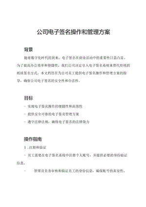 公司电子签名操作和管理方案.docx