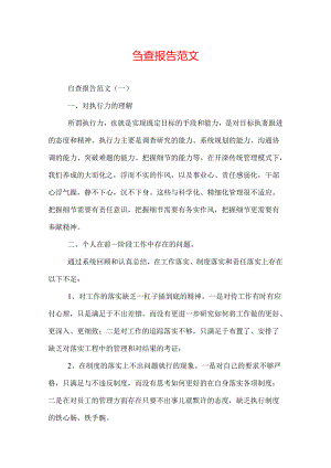 自查报告范文.docx